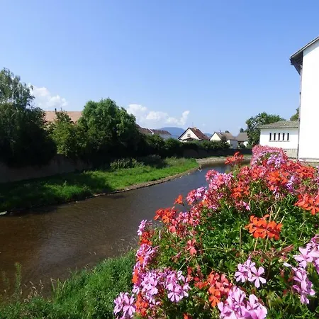 Au Pré Des Oies Hébergement de vacances Ostheim